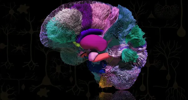 2026 BRAIN Initiative Conference